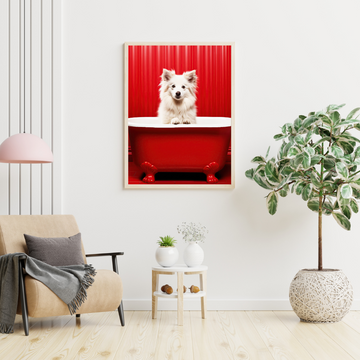 Spitz