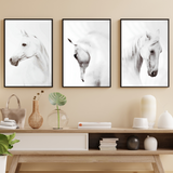 affiche chevaux blancs