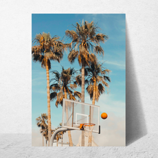 affiche basket ball summer