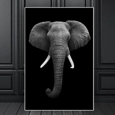 affiche éléphant safari