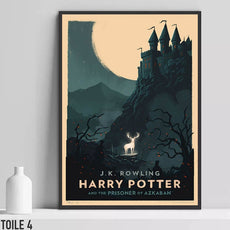 affiche harry potter