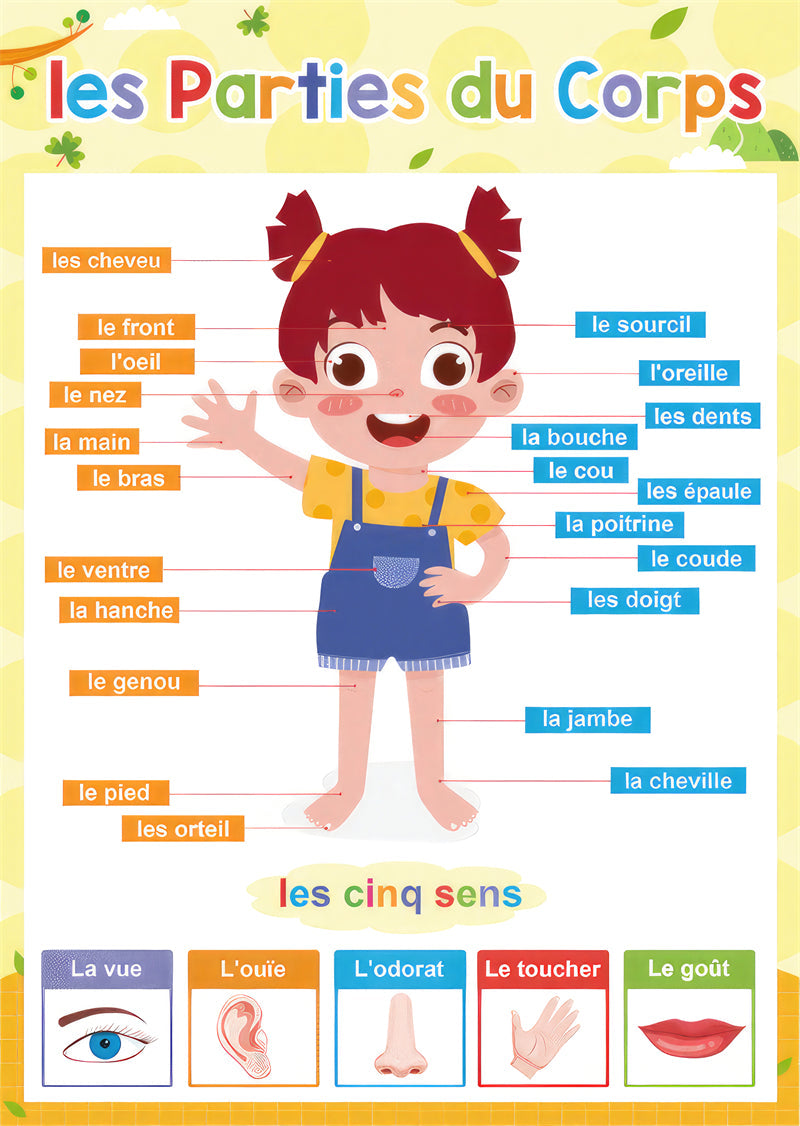 apprentissage enfant cartes