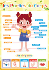 apprentissage enfant cartes
