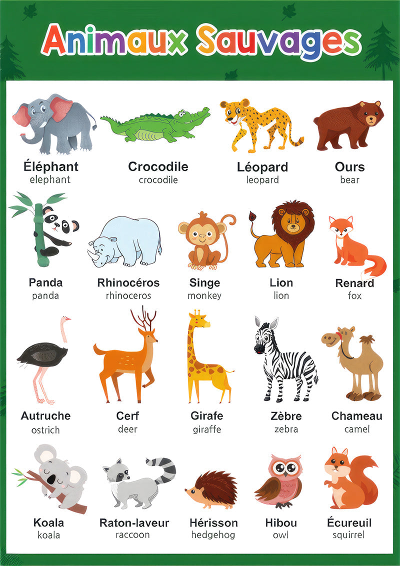 apprentissage enfant cartes