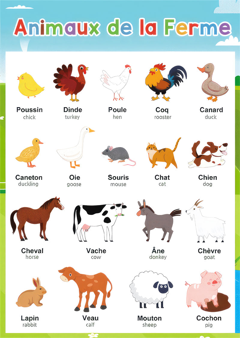 apprentissage enfant cartes