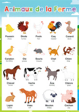 apprentissage enfant cartes