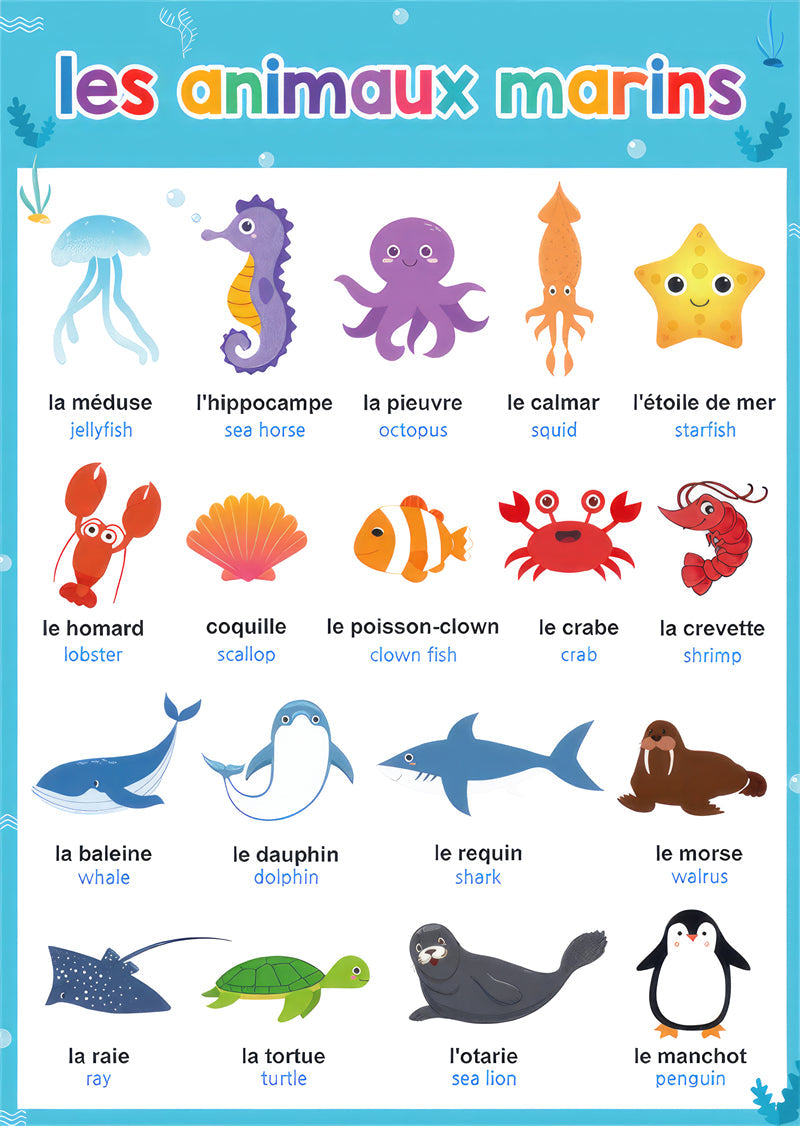 apprentissage enfant cartes