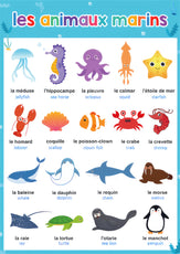 apprentissage enfant cartes